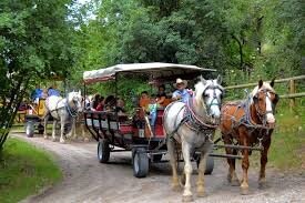 Baker Ranch and Wagon Rides